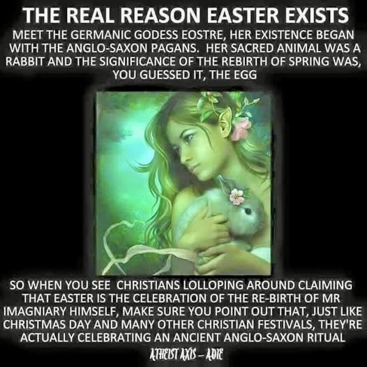 Tony Rome tweet media