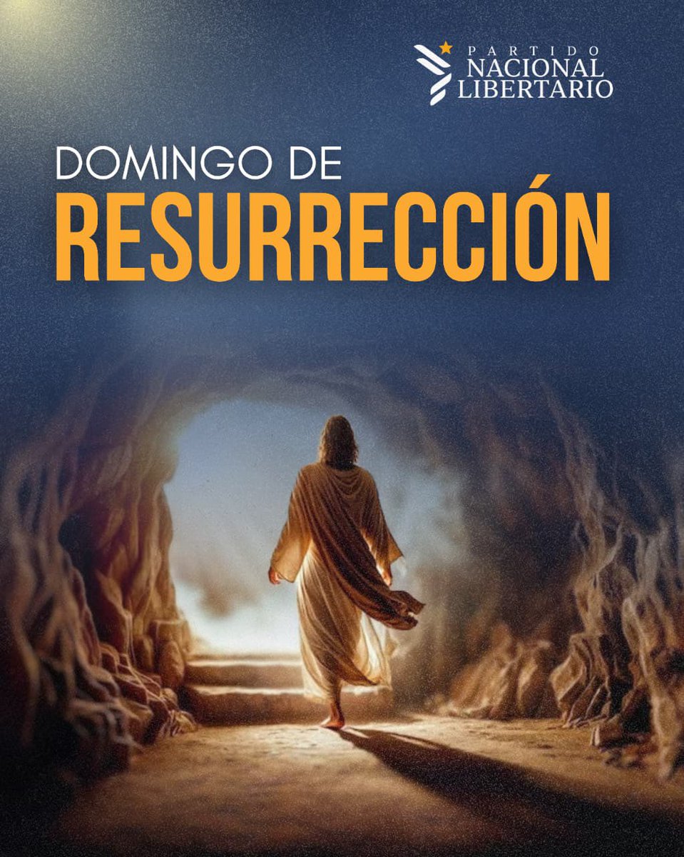 Partido Nacional Libertario tweet media