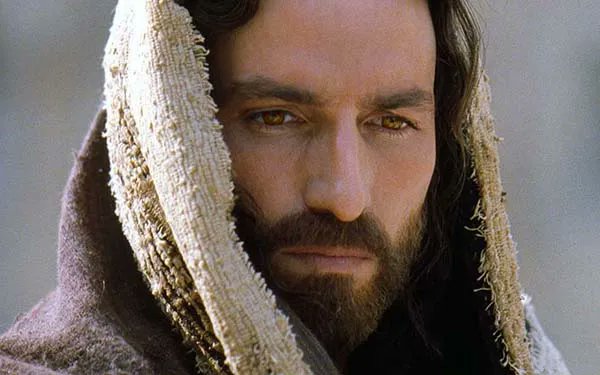 Andrés 💪🕊 🍁 tweet media