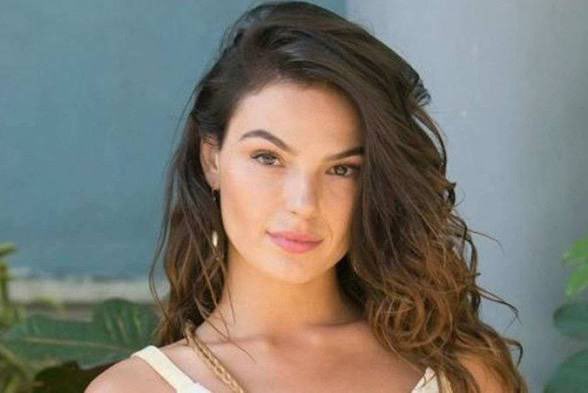 noveleiro tweet media