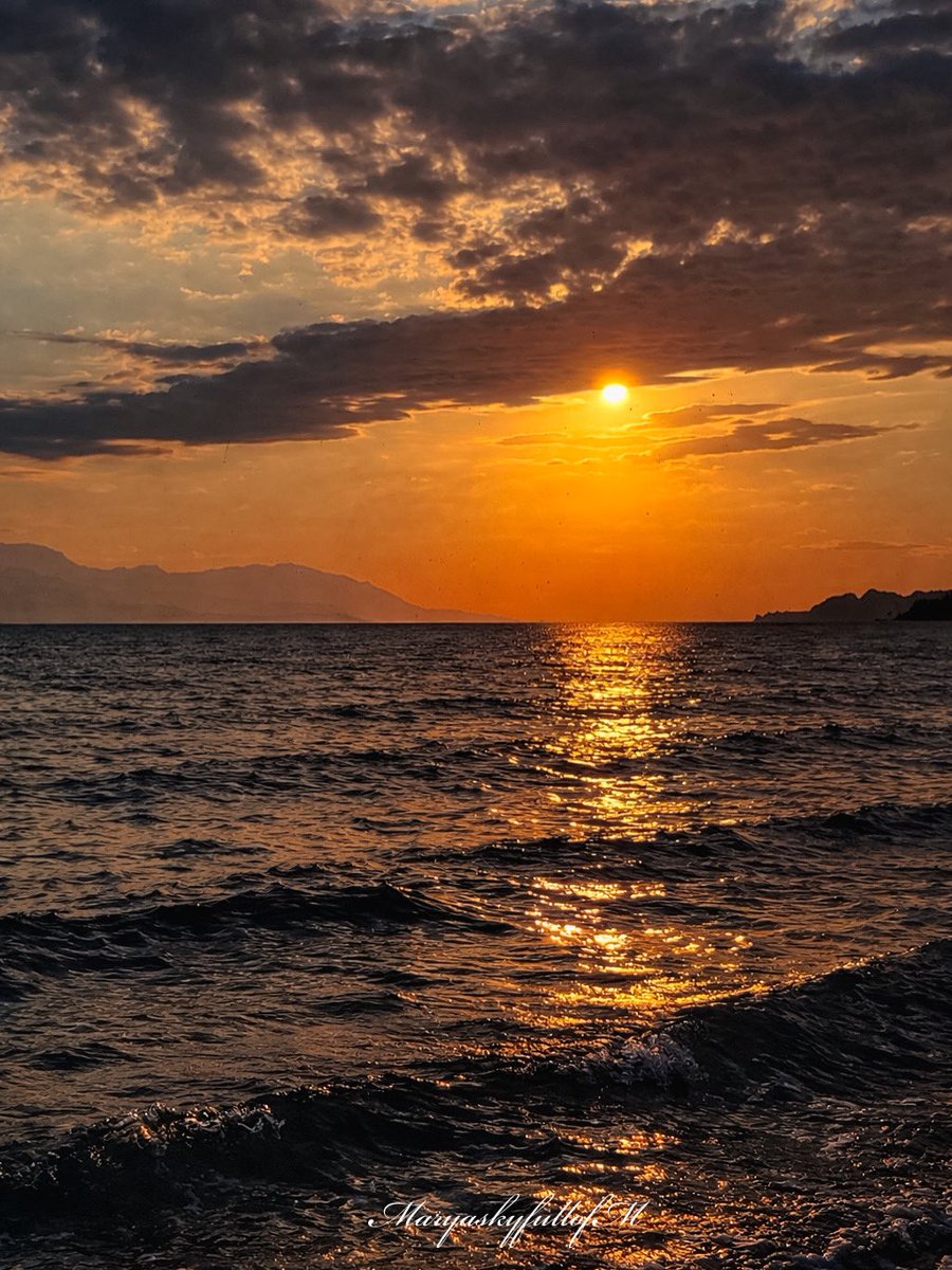 Mary🌻 tweet media