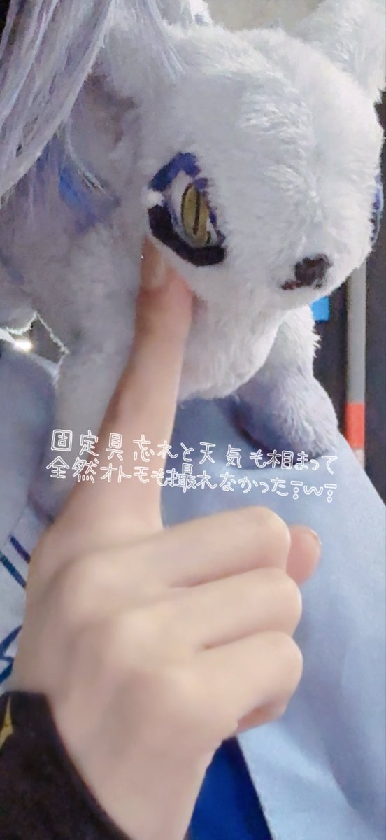 ぽかぽかおねむ tweet media