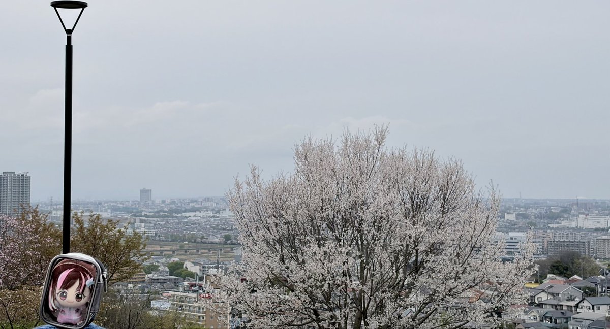 棚からチョコ餅 /しそ tweet media