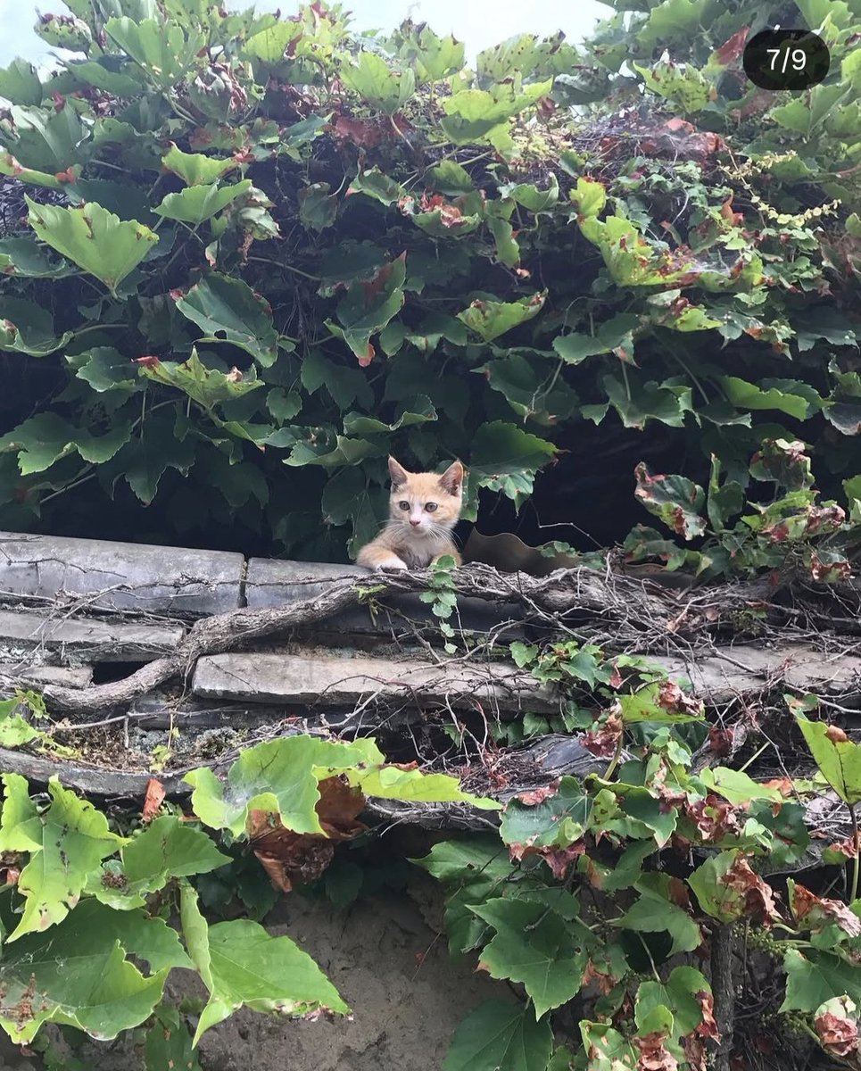 HighMin🐳 tweet media