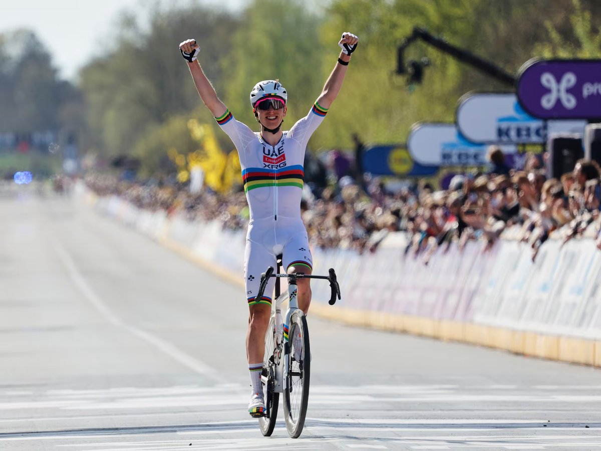 MisterChip (Alexis) tweet media