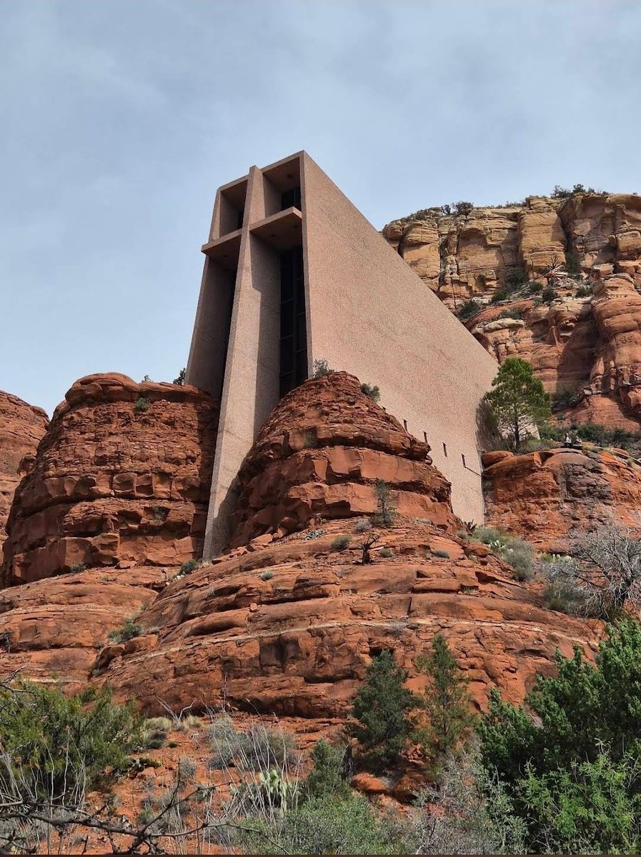 Debra The.is tweet media