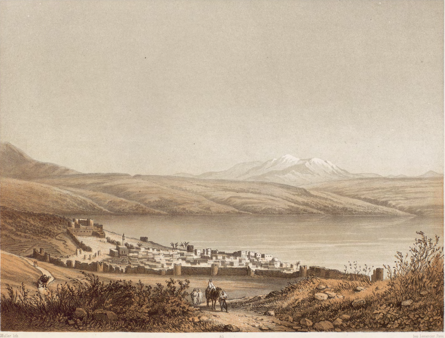 אור שאלתיאלי tweet media