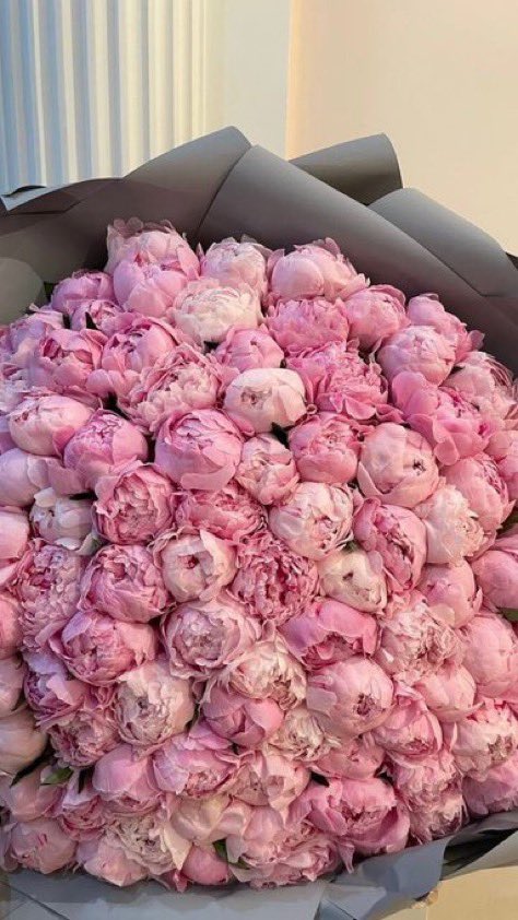 fatihkartalci tweet media