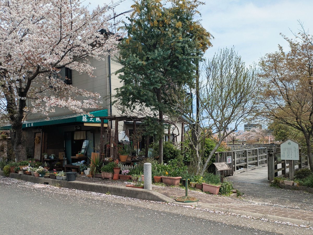 おかつ@六合 tweet media