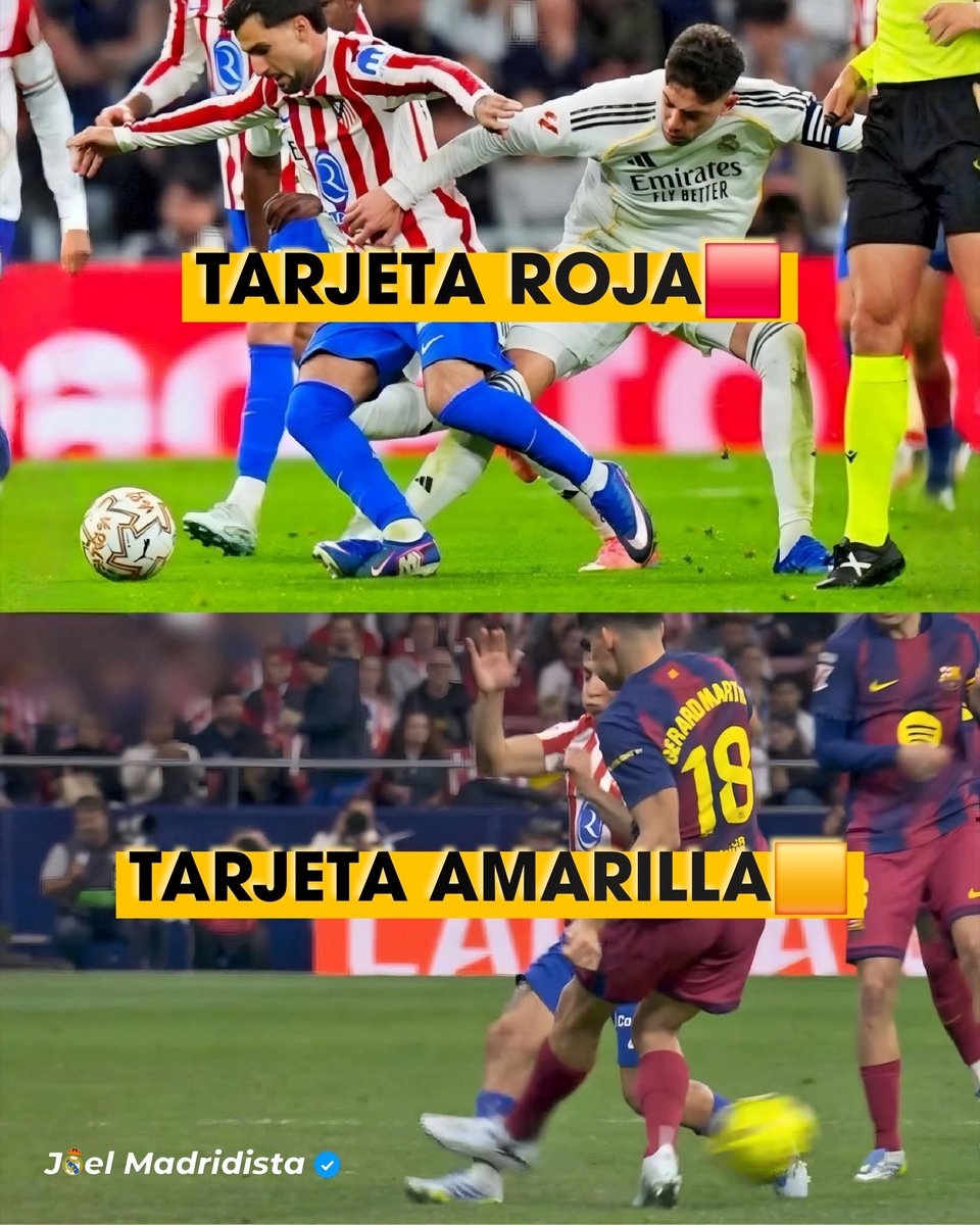 Blanca Vikinga tweet media