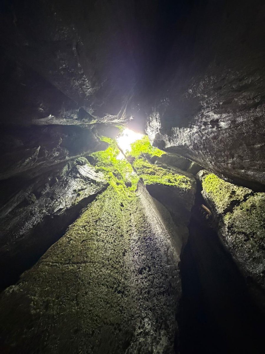 Juan Ponce Merchán tweet media