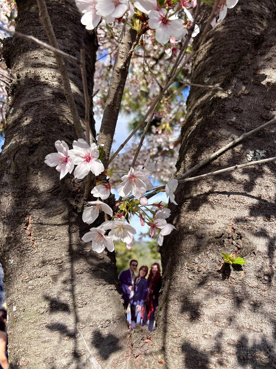 おわかりいただけたでしょうか…