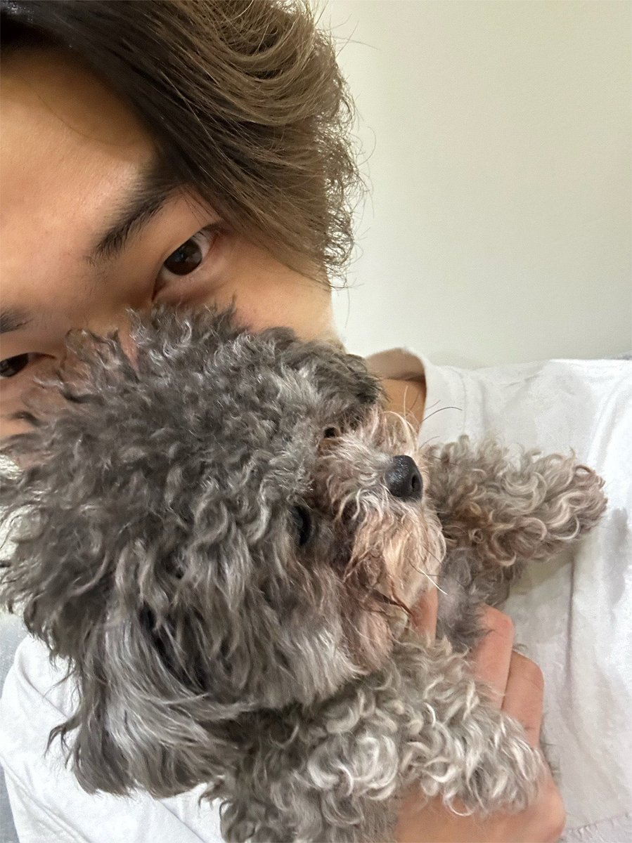 영식이 tweet media