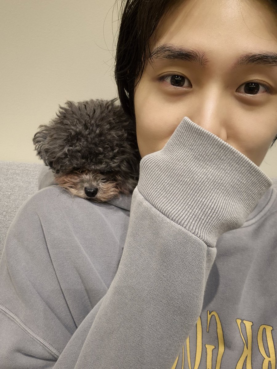 영식이 tweet media