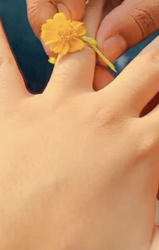 shna muhamad tweet media