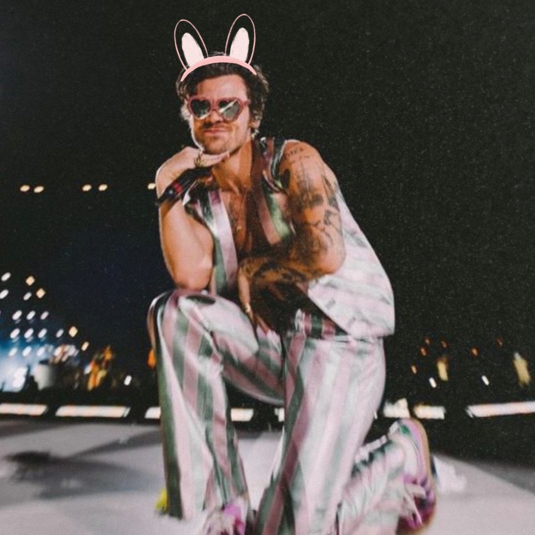 Harry Styles Brasil tweet media