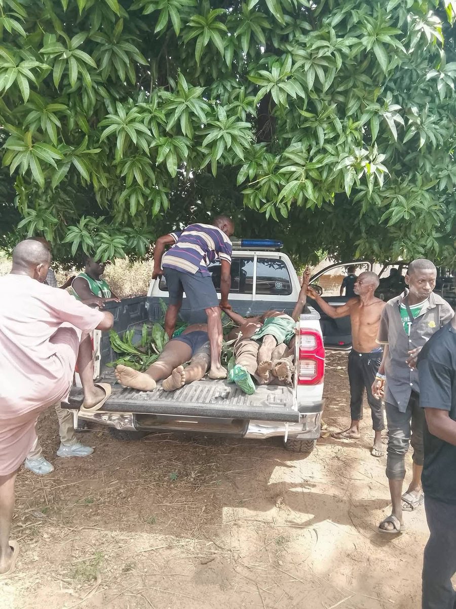 North Star tweet media