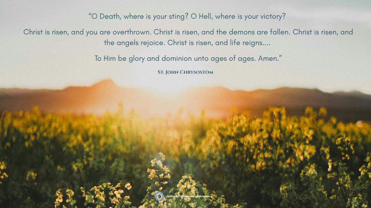 C_I_Heart's tweet photo. Christ is risen, Alleluia!!

#Easter #HeIsRisen #Alleluia #HopeinChrist #EasterJoy

Photo by Luis Gherasim on Unsplash https://t.co/oJwbqdaXqO
