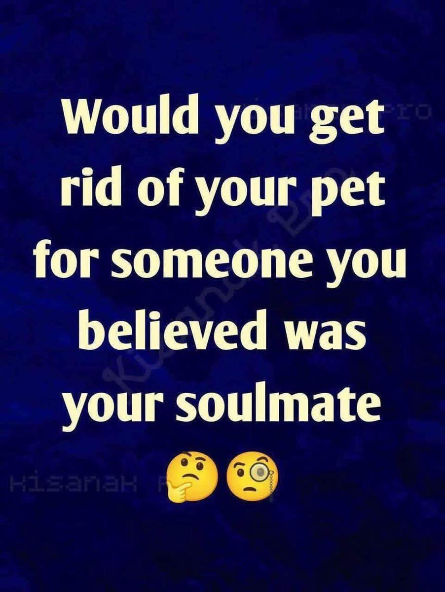 Kristina Bolten tweet media