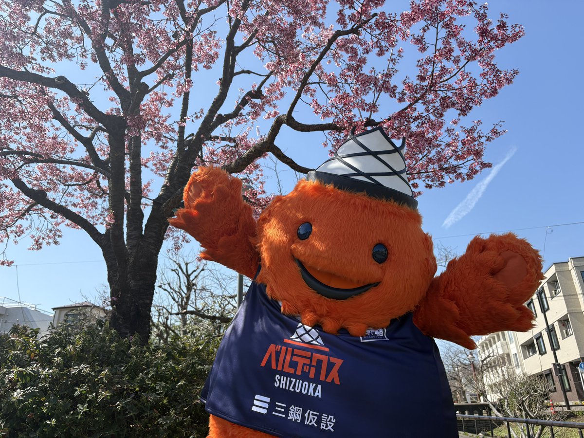 ベルティ(ベルテックス静岡)【公式】 tweet media