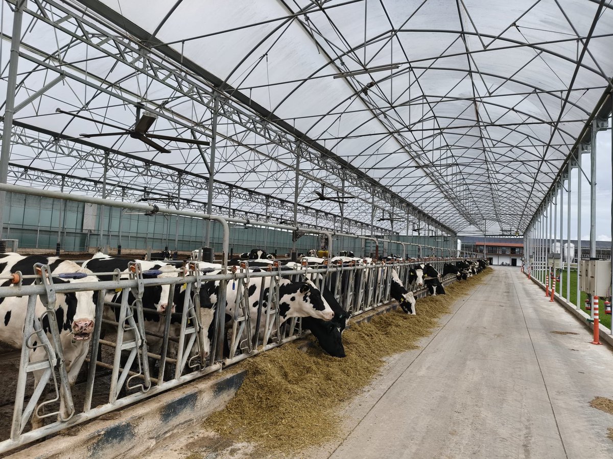 Ayyıldız 🇹🇷 tweet media