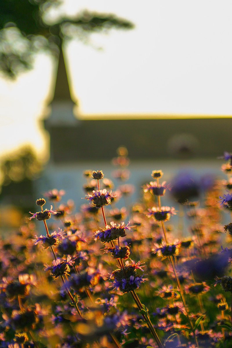 Cal State Monterey Bay tweet media