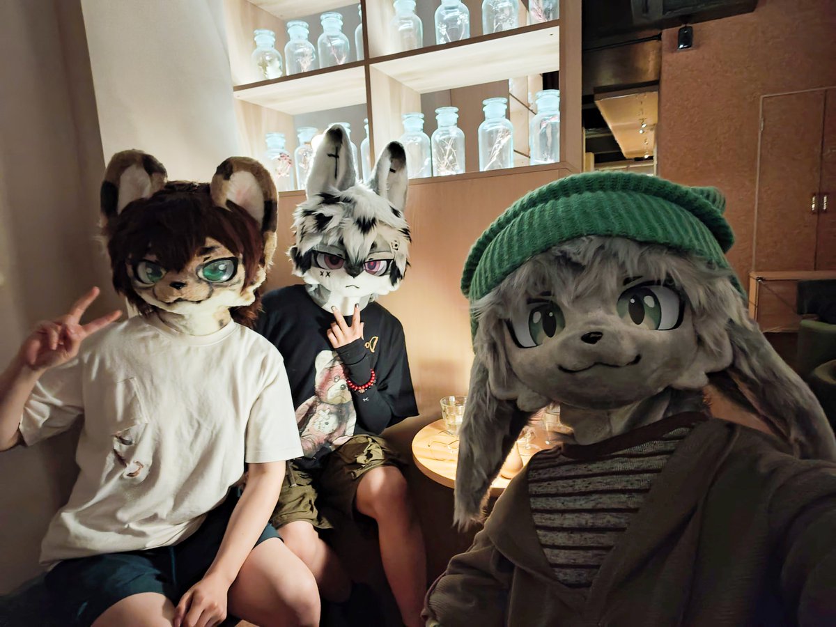 袤海城的贝拉→兽行迹 tweet media