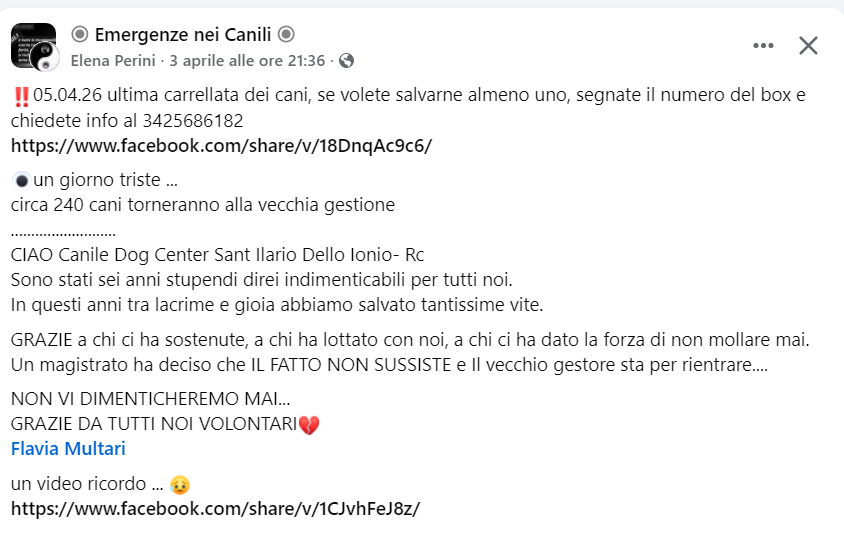 Qua la Zampa tweet media