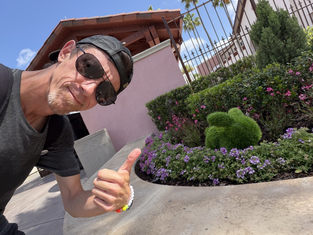 magic city mayhem tweet media