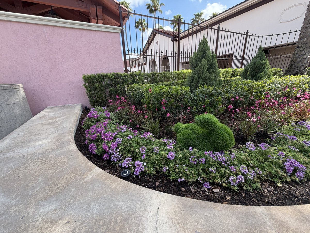 magic city mayhem tweet media