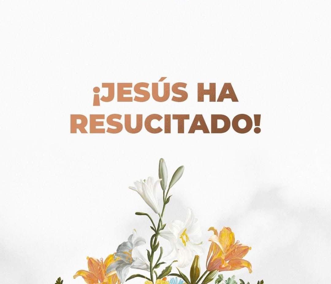 Kitty Monterrey tweet media