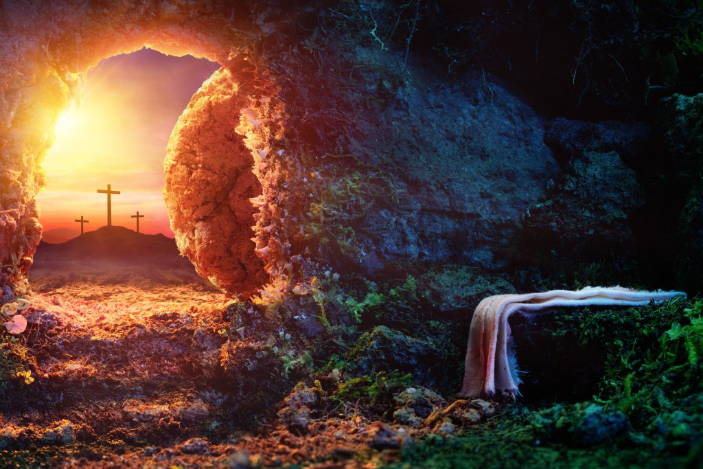 wisdomfromthepast tweet media