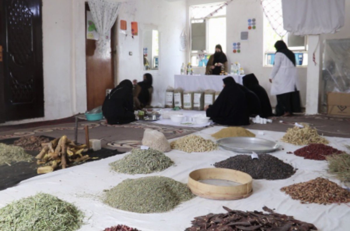 purely_Michele's tweet photo. A woman in Herat has established a herbal processing center, creating job opportunities for around 500 other women. Many of these women are sole breadwinners 

This is exactly the kind of support Afghan women inside the country have consistently called for. 

They have asked for direct investment in their work, skills, and ability to sustain their families without any agendas.