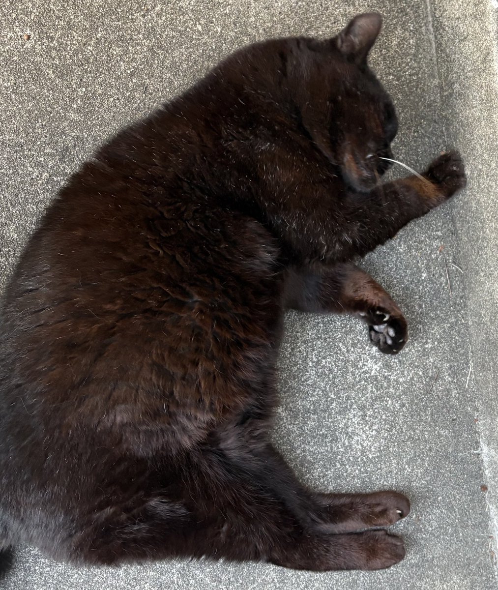 絵奈🍀energy tweet media