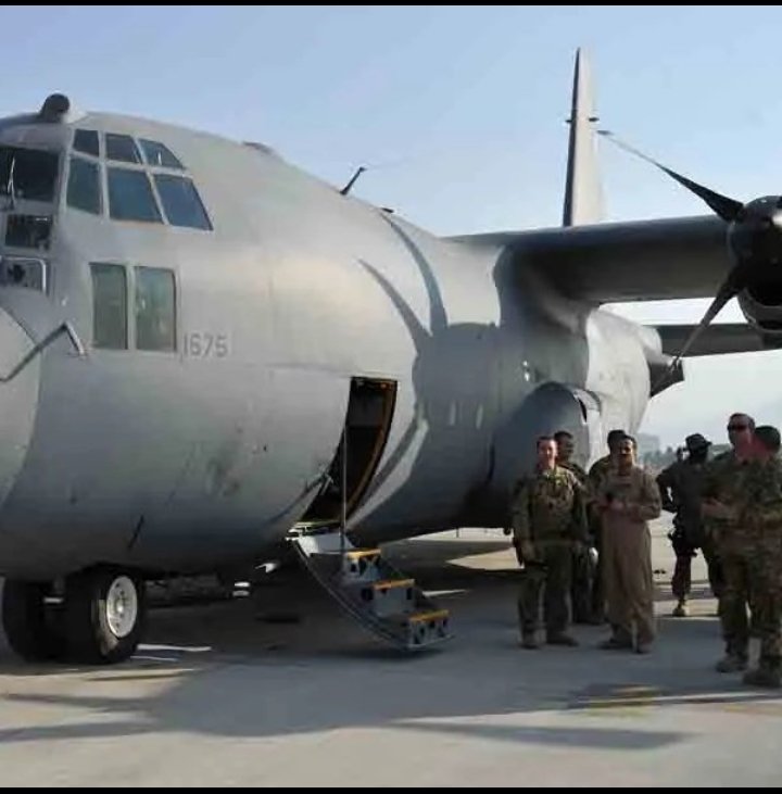 Orlando Curioso tweet media