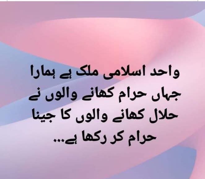 Hanish781's tweet photo. @rizwanghilzai @SdqJaan https://t.co/gkLfaYIGQw