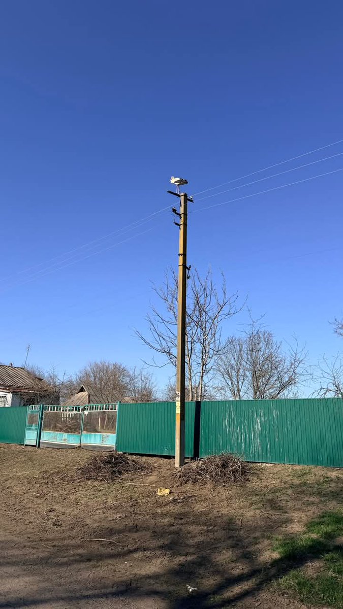 Татьяна Николаевна tweet media