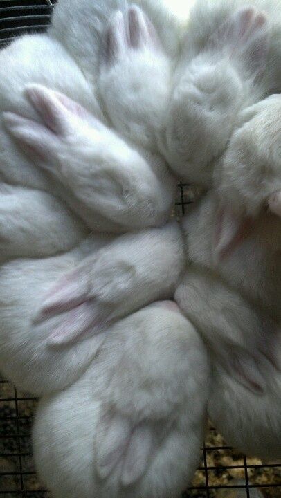 ✮⋆˙ klara ˙⋆✮ tweet media