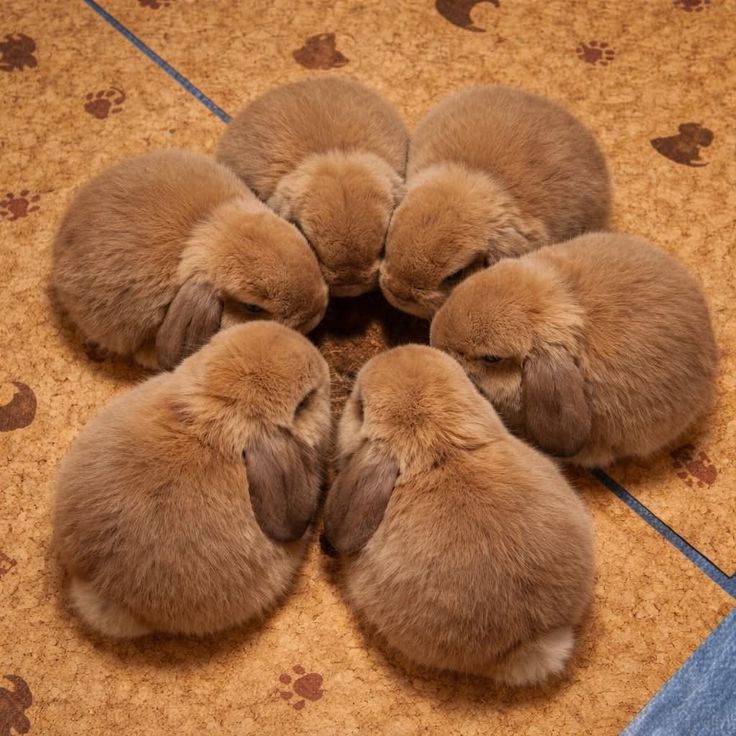 ✮⋆˙ klara ˙⋆✮ tweet media