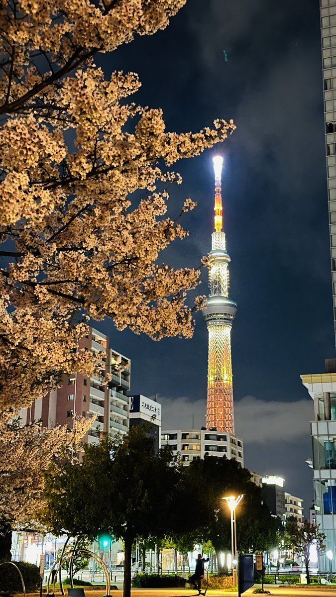 アヤミ🏴‍☠️ tweet media