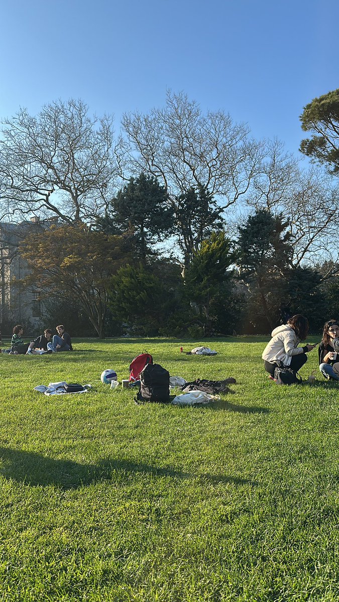 ulan ne mangal yakilir surada bra(konum:bogazici guney cimler
