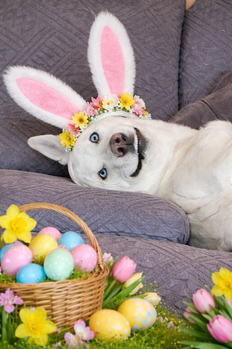 TimberMT (Jen) tweet media