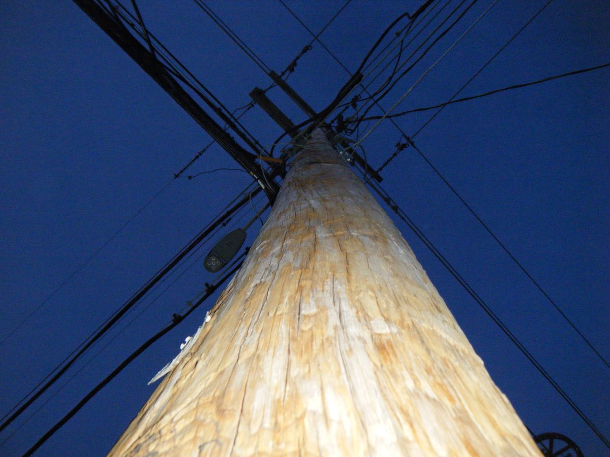 Microfilme tweet media