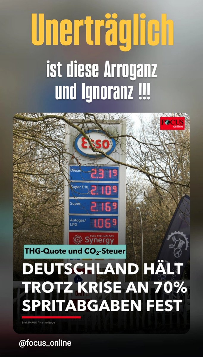 Carsten Stahl / Camp Stahl e.V. tweet media