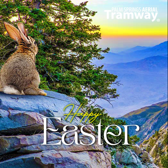 Palm Springs Aerial Tramway tweet media