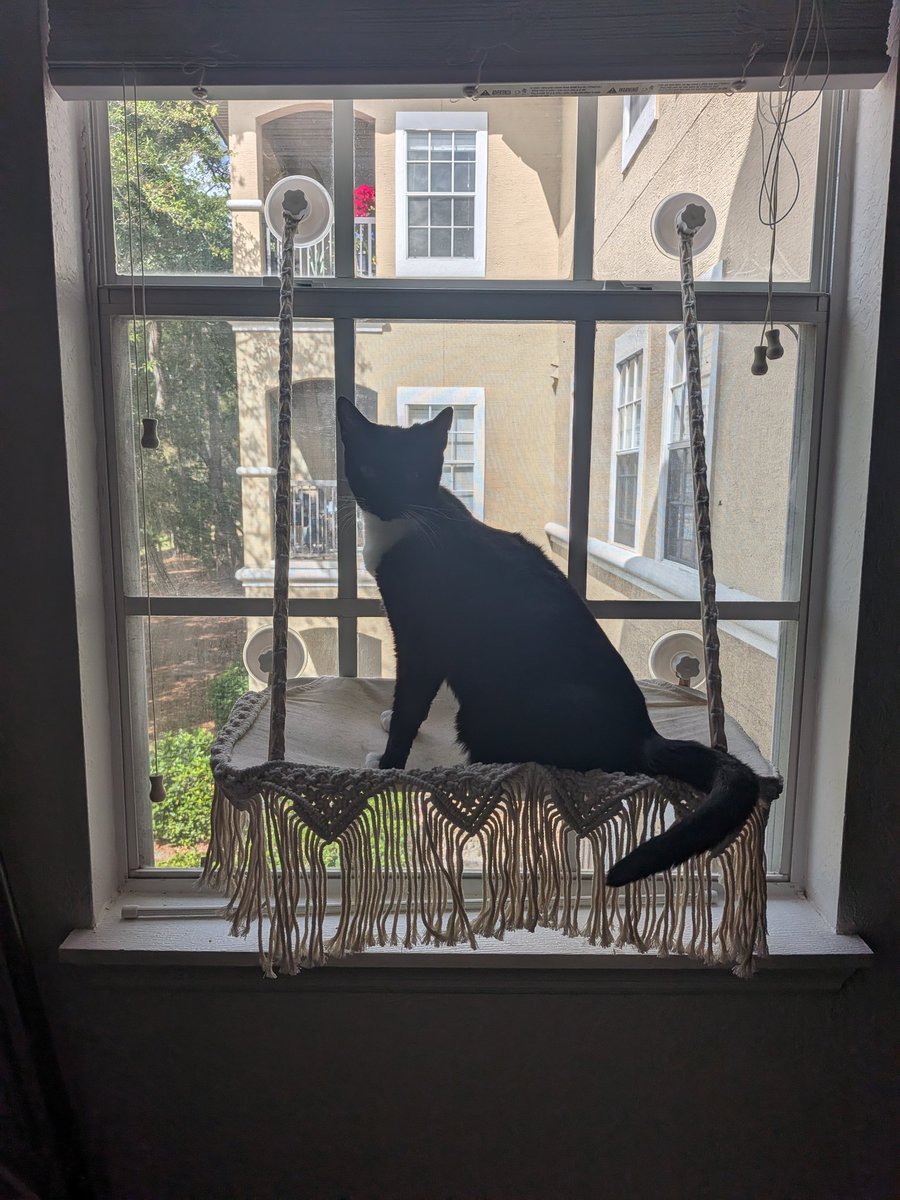 Parjanya Joshi tweet media