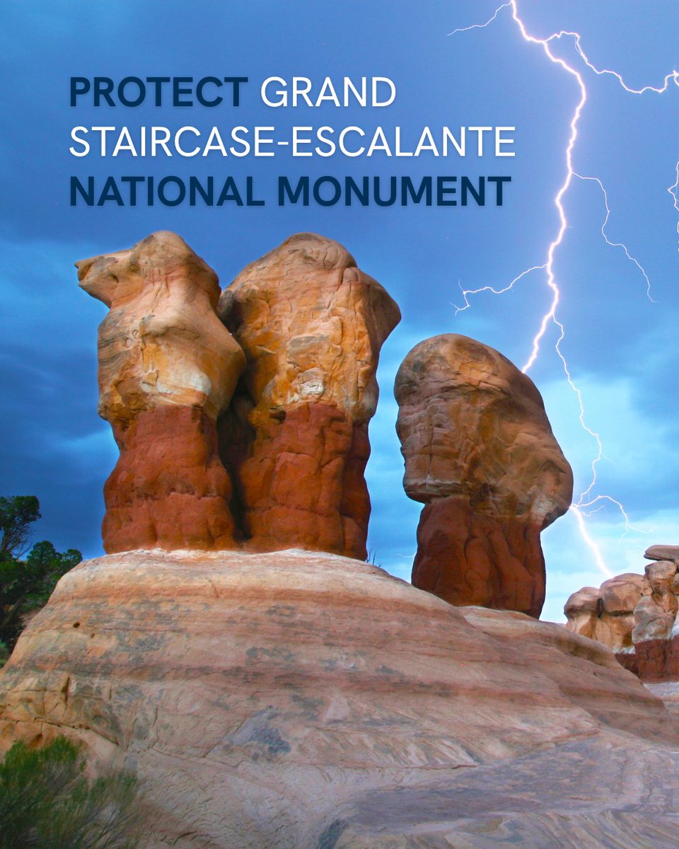 National Wildlife Federation Action Fund tweet media