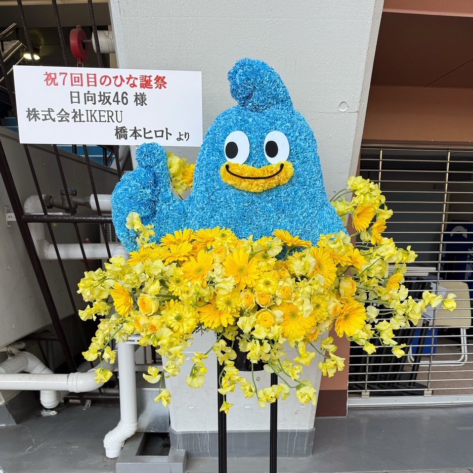 橋本ヒロト tweet media