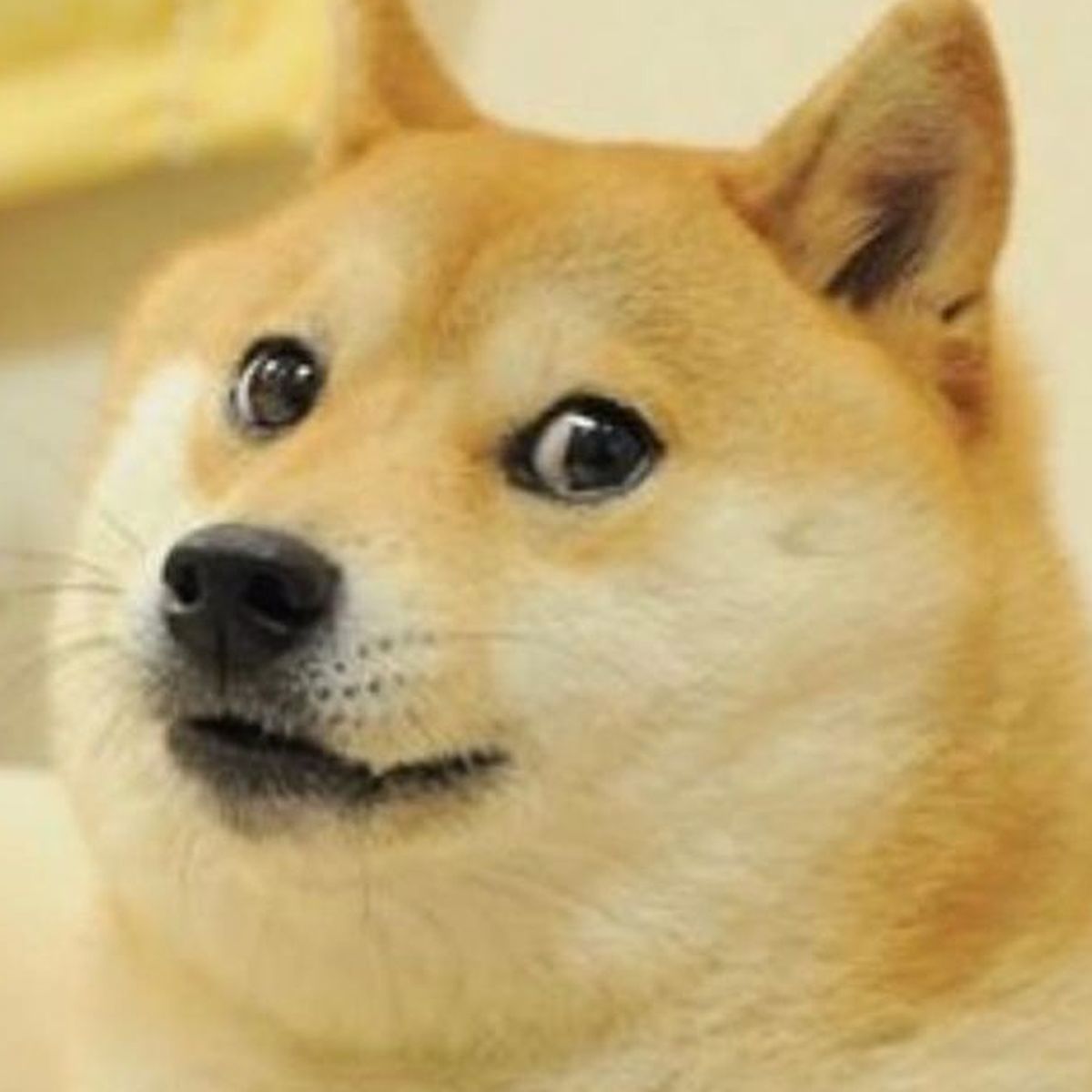 Mexican_Ghost tweet media