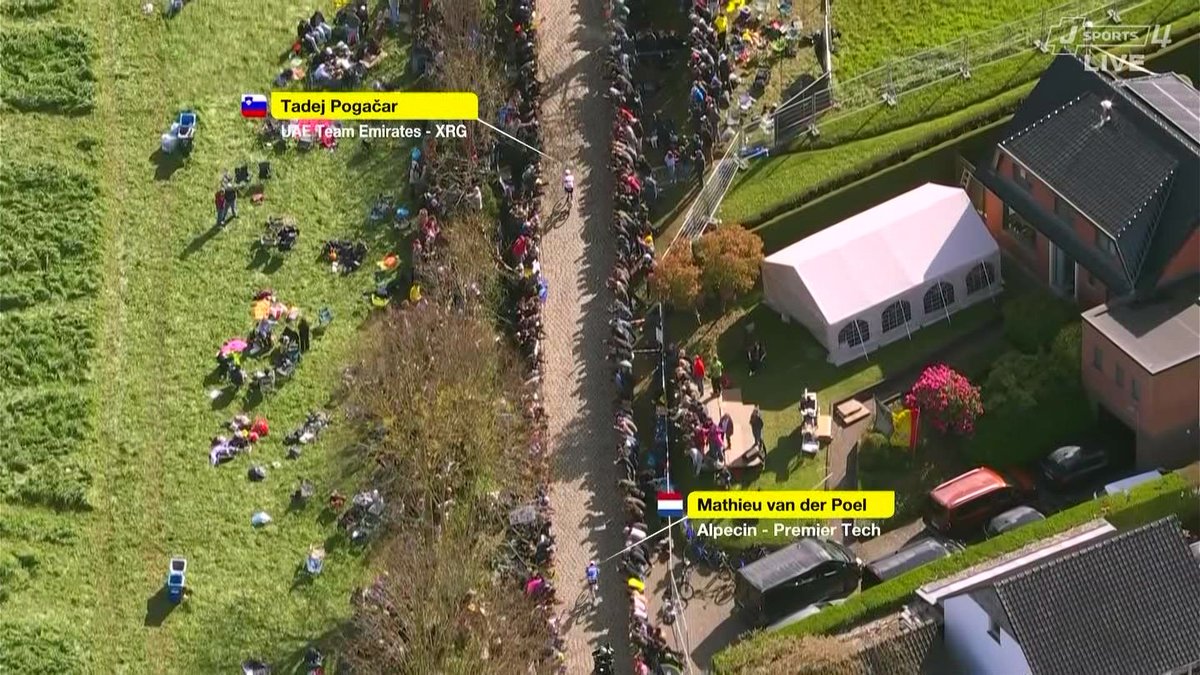 CAYOゾん tweet media